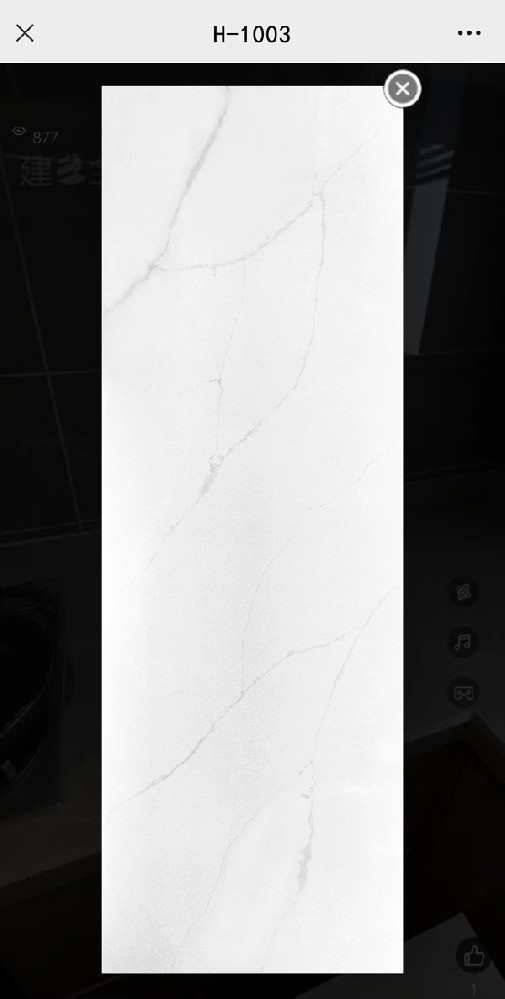 H-1003