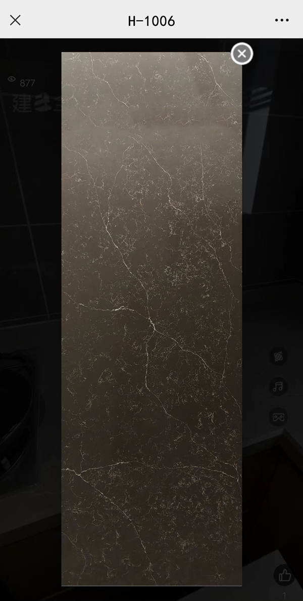 H-1006.jpg